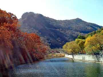 管家婆黑白马报图库，废棉